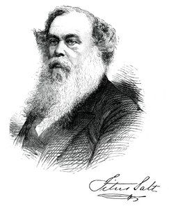 Sir Titus Salt, britisk produsent og velgjører, c1880 av Unbekannt