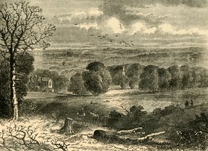 Stedet for Crystal Palace i 1852, c1878. av Unbekannt
