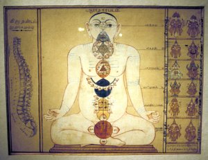 Seks chakraer som representerer plexusene i menneskekroppen, Tanjore, Tamil Nadu, c1850 av Unbekannt