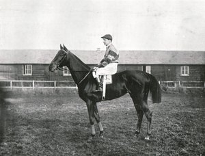 Skyskraper, 1911. av Unbekannt