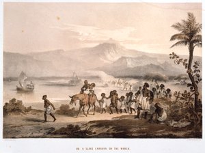 Slavekonvoi i mars 1852 av Unbekannt