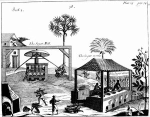 Slavearbeid på en sukkerplantasje i Vestindia, 1725 av Unbekannt