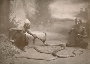 Slangesjarmere med Hamadryads Kuy Cobras, 1900. av Unbekannt