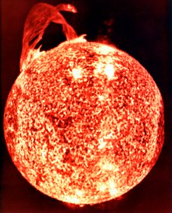 Solflamme av Unbekannt