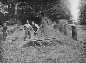 Soldater som hjalp bøndene ved å komme inn i høyet, 1915 av Unbekannt