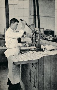Stemplingsblokker av såpe, c1917 av Unbekannt