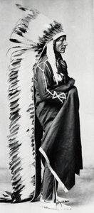 Stående bjørn, sjef for Dakota Sioux, nordamerikanske sletteindianere, c1885-c1890 av Unbekannt