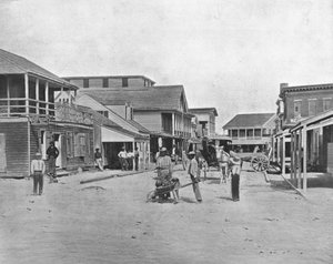Gate i Key West, Florida, USA, c1900. av Unbekannt