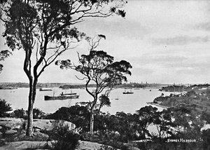 Sydney Harbour, fra Cremorne Point, c1900. av Unbekannt