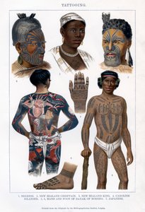 Tatovering, 1800-1900 av Unbekannt