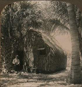 Thatched Cottage i Cocoanut Grove, Florida, U.S.A., c1900 av Unbekannt
