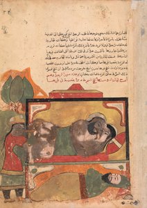 The Ascetic Witnesses the Woman Trying to Poison the Lover, Folio from a Kalila..., 1700-tallet. av Unbekannt