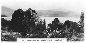 Den botaniske hagen, Hobart, Tasmania, 1928 av Unbekannt