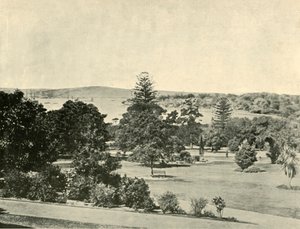 Den botaniske hagen i Sydney, 1901. av Unbekannt