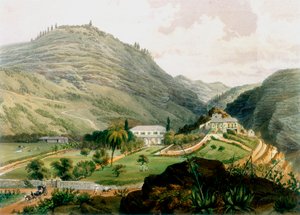 The Briars, St. Helena, tidlig på 1800-tallet 1851 av Unbekannt