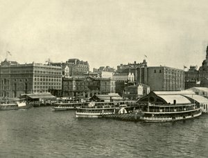 The Circular Quay, Sydney, 1901. av Unbekannt