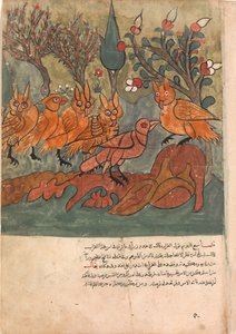 Kråkespionen snakker med uglenes konge og hans ministre, Folio fra en Kalila..., 1700-tallet. av Unbekannt