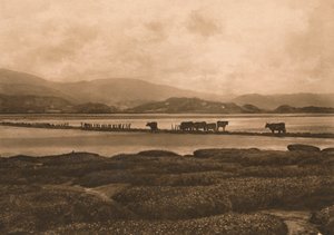 The Dovey at Ynyslas, 1902 av Unbekannt