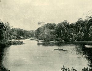 Ennoggera-reservoaret, 1901. av Unbekannt