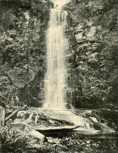 Erskine Falls, nær Lorne, 1901. av Unbekannt
