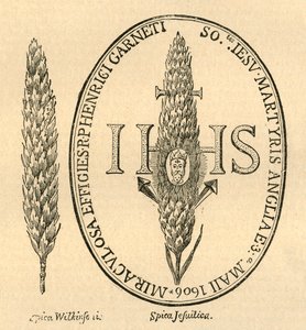 Ansiktet i halmen. - Fra Abbots Anthologia, 1613, 1897. av Unbekannt