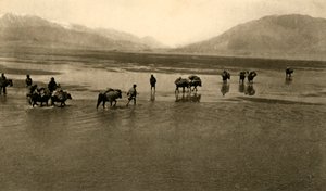 Den første utsikten over Mount Everest, c1918-c1939. av Unbekannt