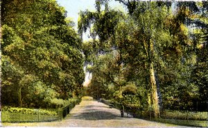 The Flower Walk, Kensington Gardens, London, 1900-tallet av Unbekannt