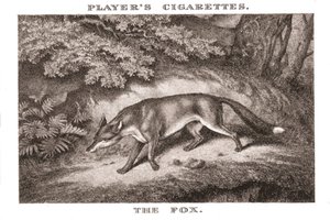 The Fox, 1924. av Unbekannt