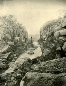 The Gorge, Buffalo Falls, viktorianske alper, 1901. av Unbekannt