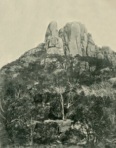 The Hump, Buffalo Mountains, 1901. av Unbekannt