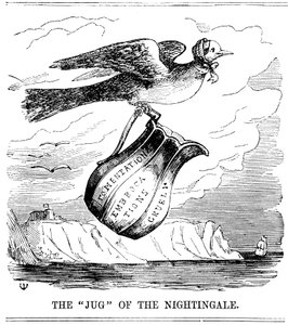 Nattergalens kanne, 1854 av Unbekannt