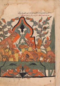 Harenes konge i råd med sine undersåtter, Folio fra en Kalila wa Dimna, 1700-tallet. av Unbekannt