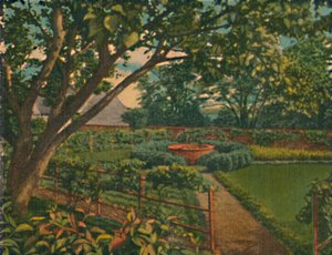 Kjøkkenhagen, 1946 av Unbekannt