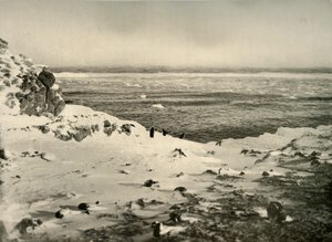 The Last of the Penguins like før deres migrasjon i mars, c1908, 1909. av Unbekannt