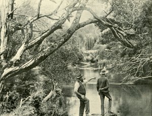 The Launching Place, Upper Yarra, Victoria, 1901. av Unbekannt