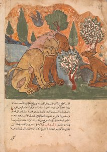 Løvenes konge, med sin mor, mottar Dimna, Folio fra en Kalila wa Dimna, 1700-tallet. av Unbekannt