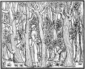 The Lover in the Wood, 1499 1964 av Unbekannt