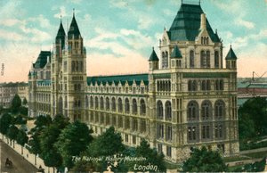The National History Museum, London, c1910. av Unbekannt