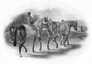 The Next Race, 1800-tallet, 1911 av Unbekannt