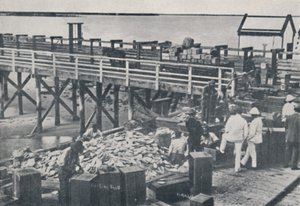 The Pearl Fishing Industry - Packing Shell, 1923. av Unbekannt