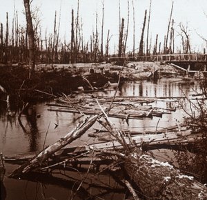 The River Ailette, Nord-Frankrike, c1914-c1918 av Unbekannt