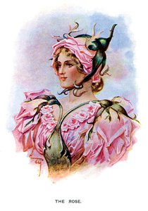 Rosen, 1899 av Unbekannt