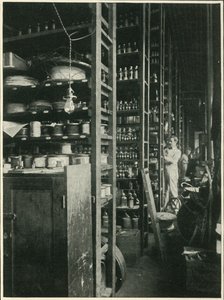 The Shelfs of Edisons Laboratory with Samples of Every Known Substance, 1902. av Unbekannt