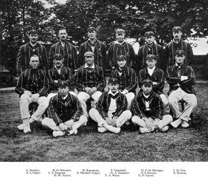 Det sørafrikanske cricketlaget fra 1912 av Unbekannt