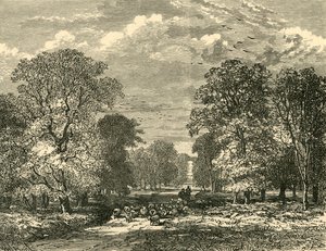 Southampton Road, 1898. av Unbekannt