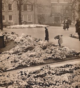The State Funeral of King George V at Windsor: minnekranser, 1936 av Unbekannt