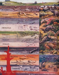 The Succession of Life in the Rocks, 1935 av Unbekannt