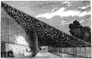 The Vinery at Hampton Court, 1800-tallet av Unbekannt