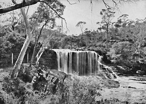 The Weeping Rock ved Wentworth Falls, Blue Mountains, c1900. av Unbekannt