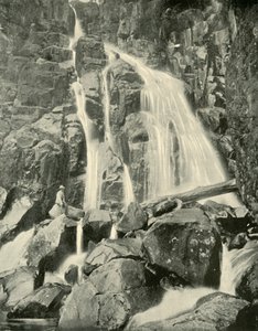 Wellington Falls, Mount Wellington, 1901. av Unbekannt